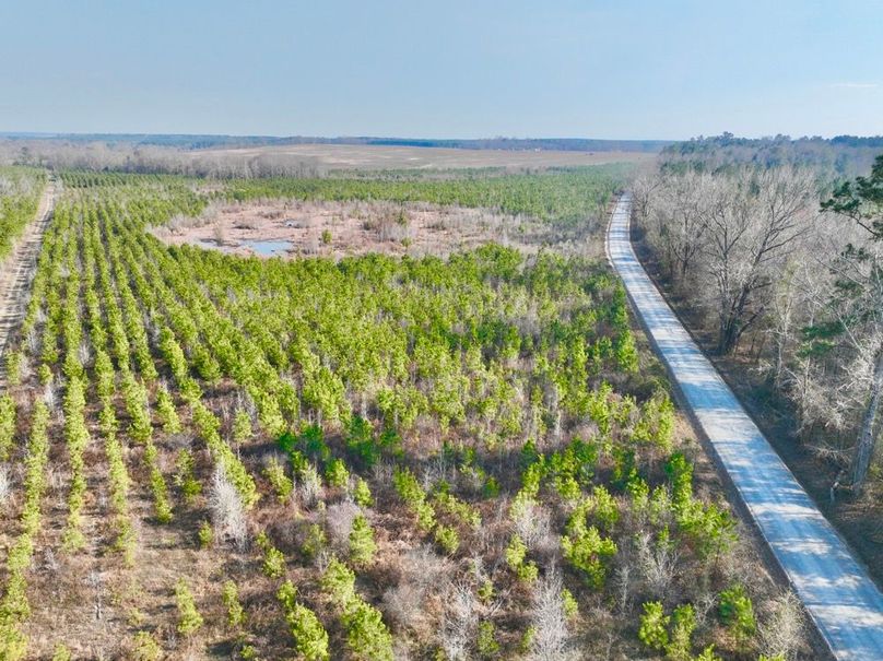 dji_fly_20250225_160520_442_1740517925432_photo