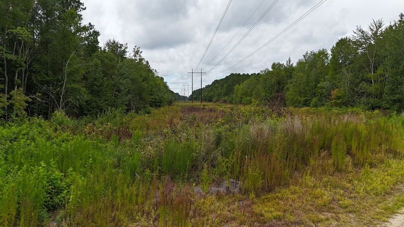 dji_fly_20250715_115530_0608_1752596191240_photo