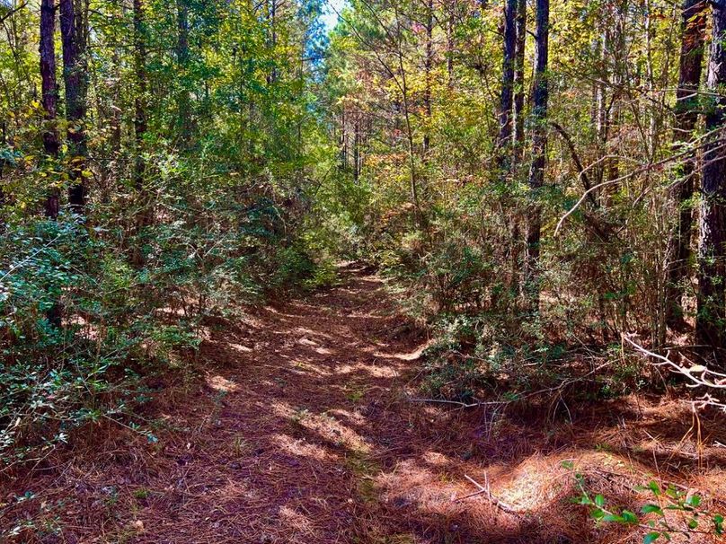 6295F07D-BEAB-49B7-B6BE-0550B02D7799_1_201_a