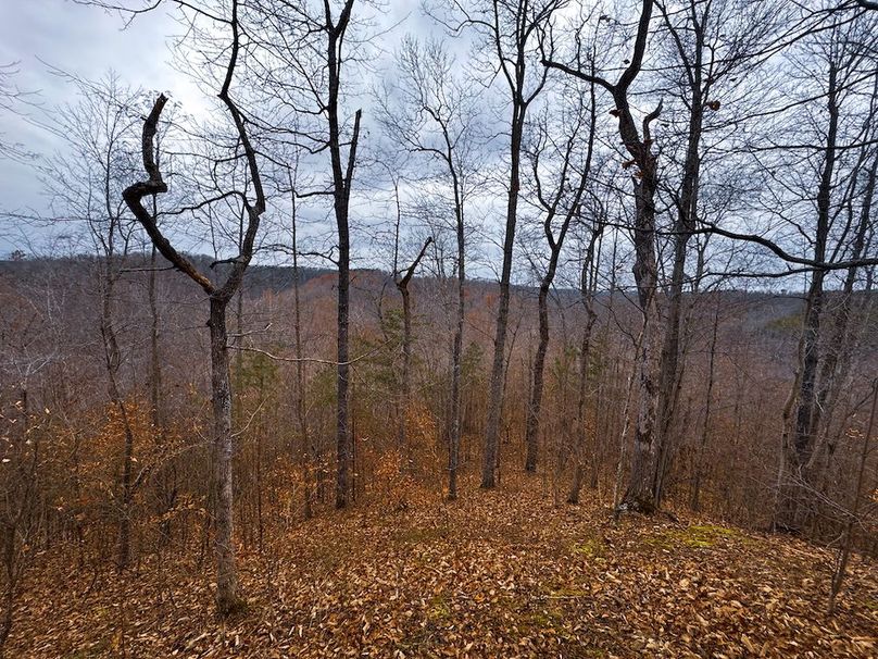 Ritchie, WV 100 AC Harper-07