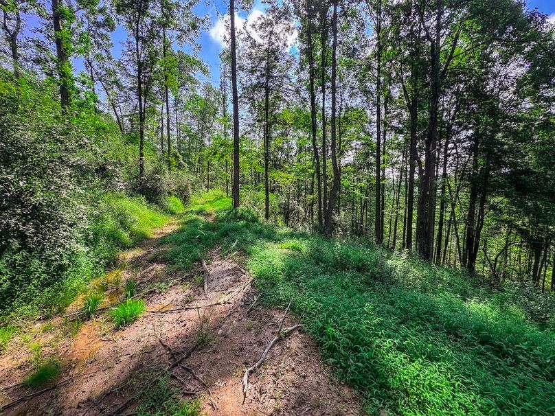 Lewis, WV 105 AC Miller-68