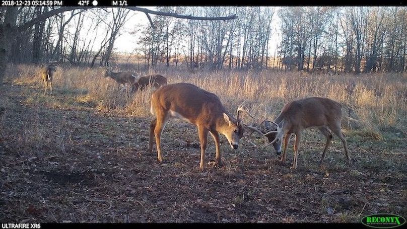 2018-12-23 17-14-59 M 1_1