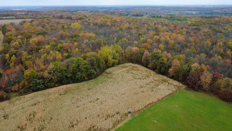 Hauger 15 Still Shots-05 - Copy