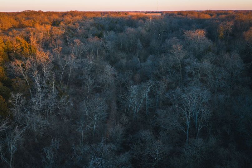 DJI_20260121165447_0515_D