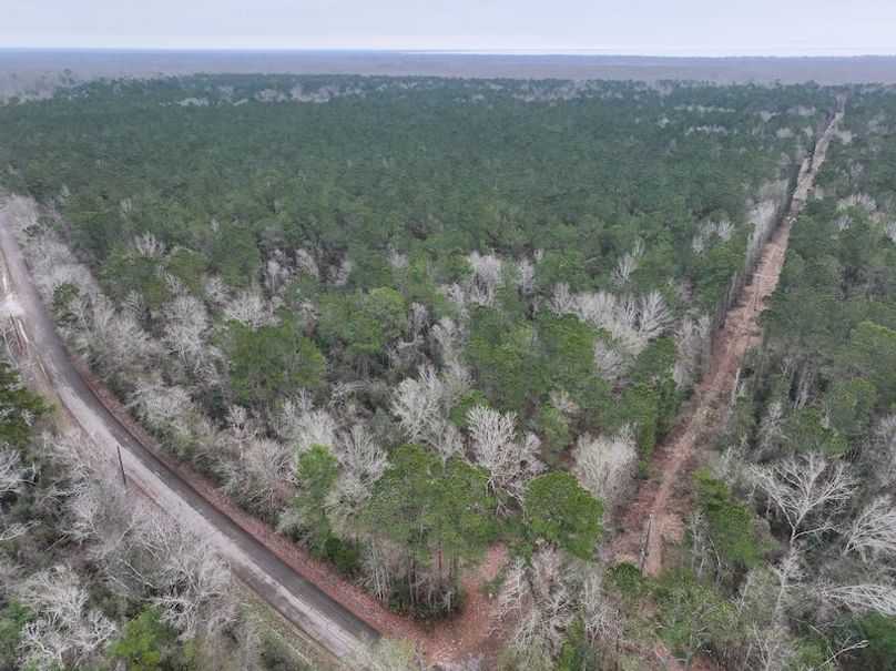 dji_fly_20260123_105138_0893_1769444798407_photo