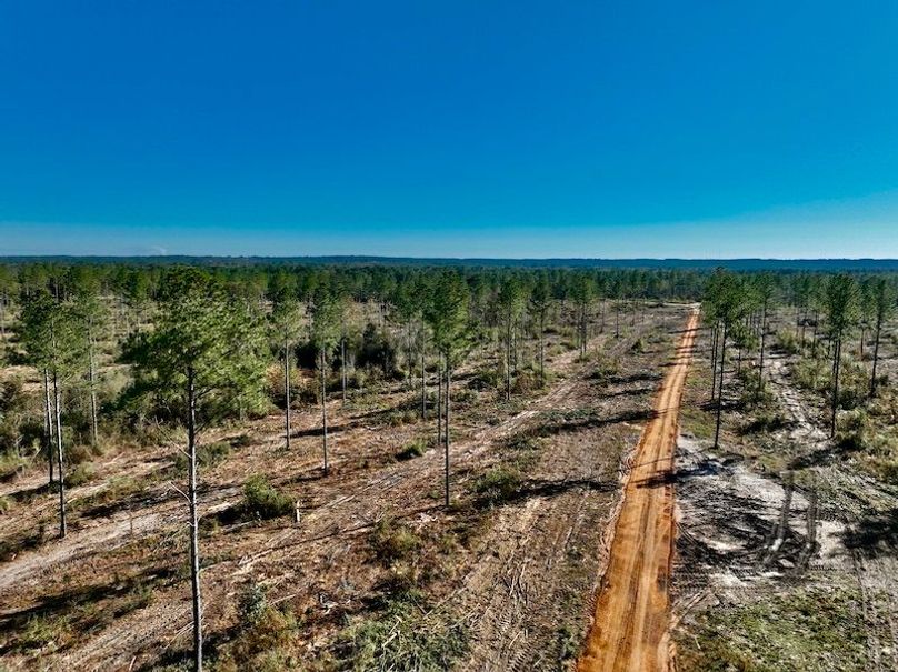 E827E153-0916-4364-8090-2D0569CED44F_1_201_a