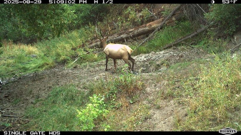 17E8228B-3B2C-4F2F-A0B1-2BAE6968ABB2