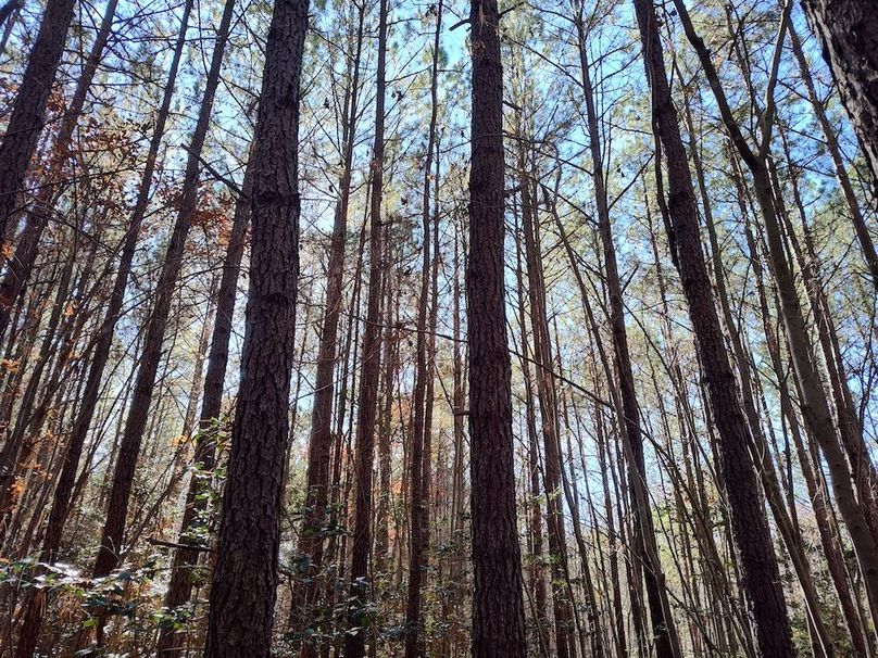 IMG_20251124_115734749_HDR