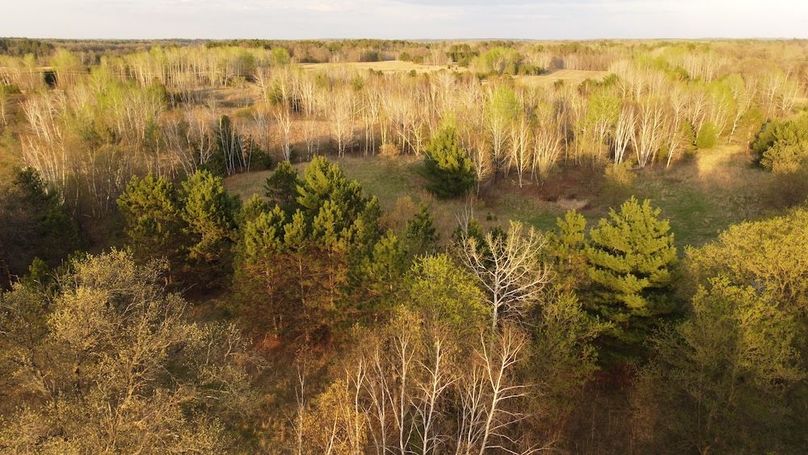 DJI_0231