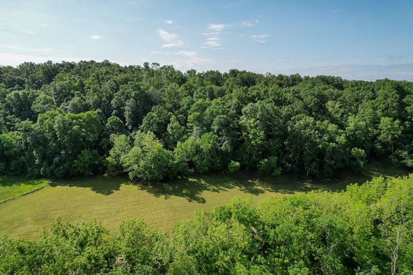 DJI_0352