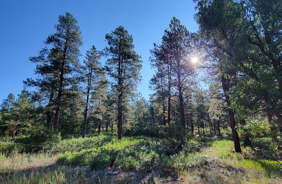 Copy of 20210827_090033