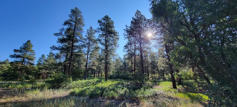 Copy of 20210827_090033