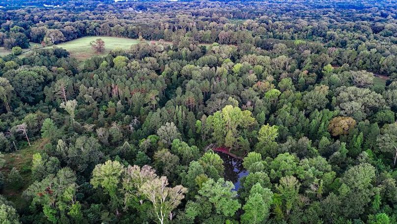 Hinds Co - 78 - Newman-23