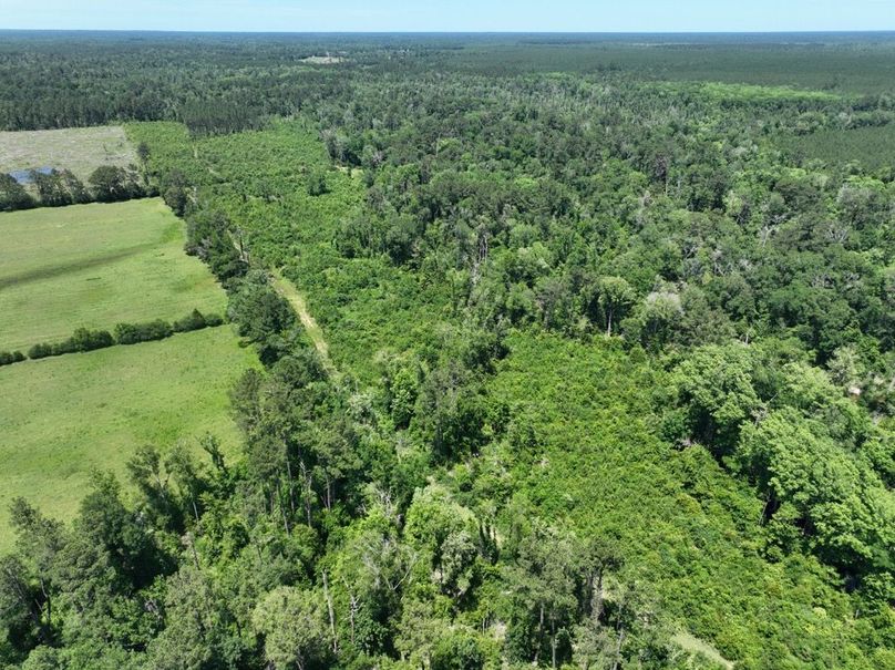 dji_fly_20250522_160206_215_1747959401602_photo