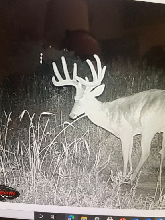 65163551288__55DAB55E-A79D-4089-8A1E-38AC1172DAAB