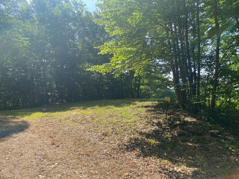 Macon 3.38 Bloodworth-09