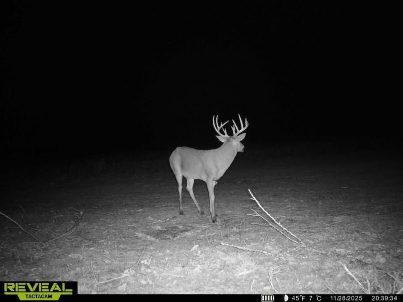 860322064549303-100-4-11282025210508-HD-SYEW2342