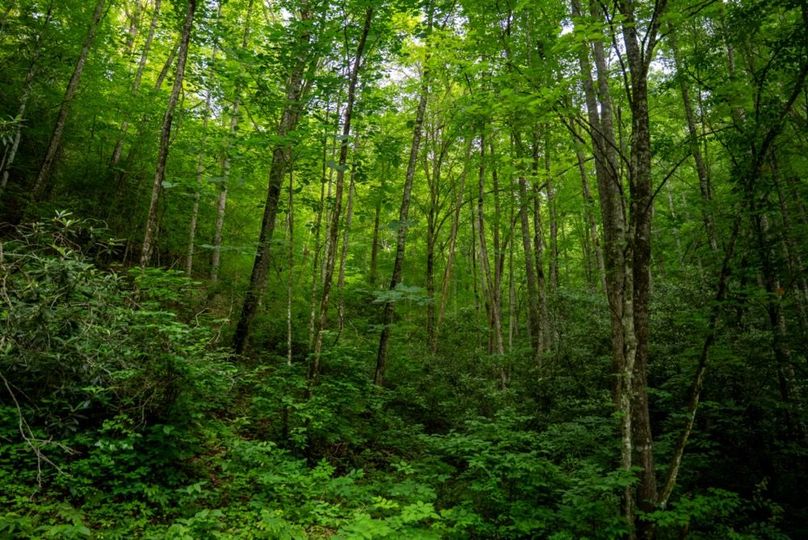 85 Featured_ProPhoto-54