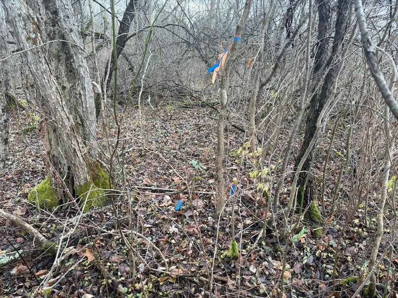 Tompkins_15.15_Galarza Photo 29