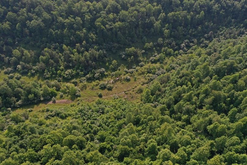 027 aerial drone shot looking straight down at the upper reaches of the blue line stream-2