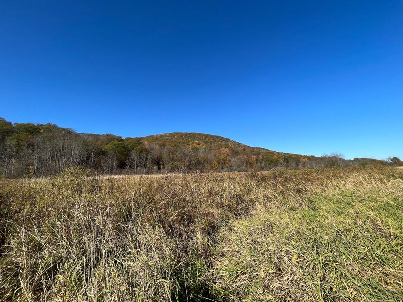 Schuyler_25.155_Ennis_Photos_9