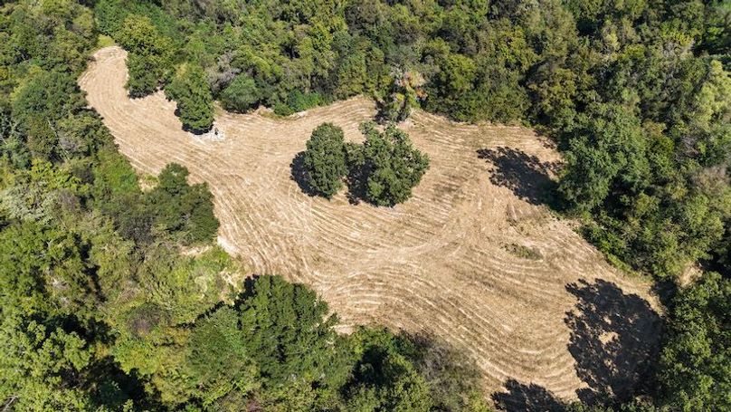 6-DJI_20241007133917_0004_D