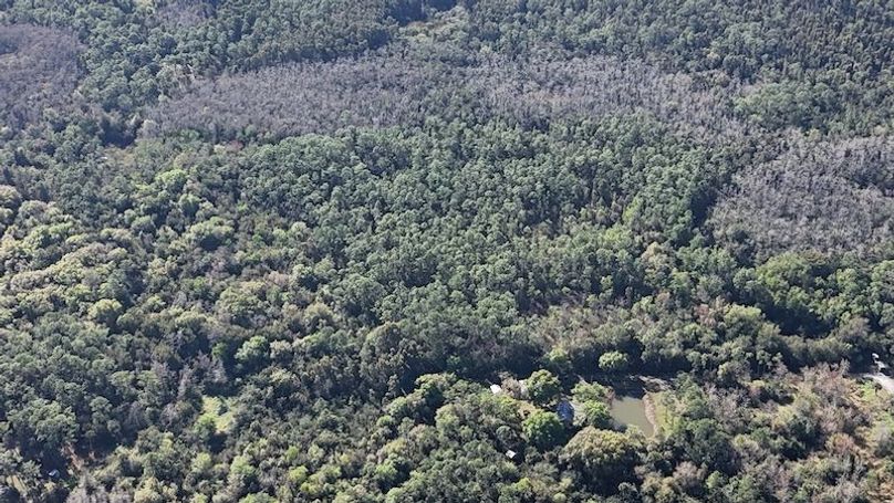 DJI_20260108103344_0126_D