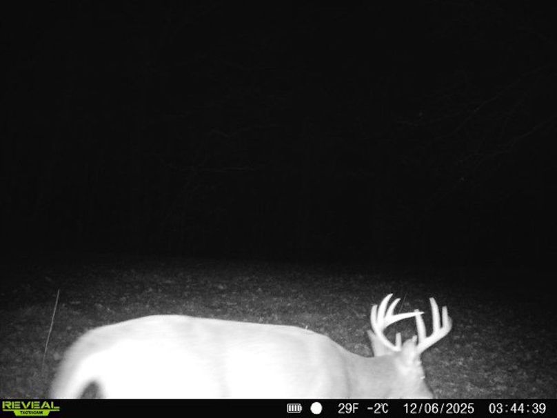 860516067590665-30-3-12062025034438-V-W1000049