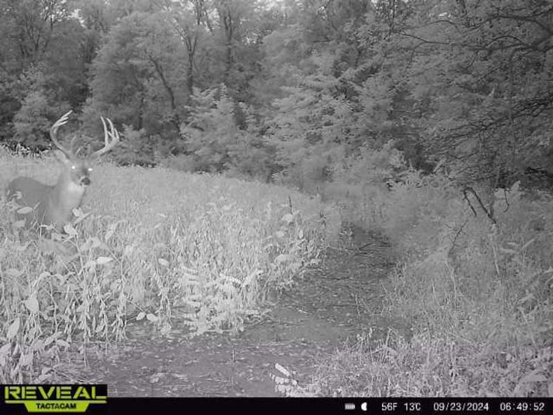 865814041015023-100-2-09232024064952-W1000309