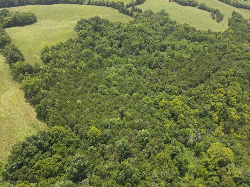 DJI_20250720125113_0007_W