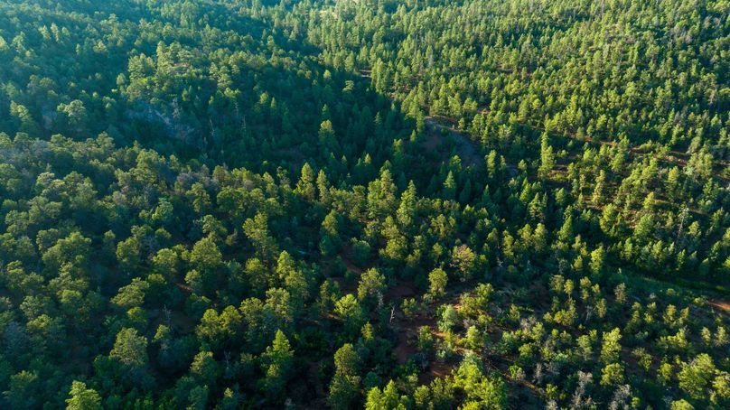 Cibola NM 13,053-0490