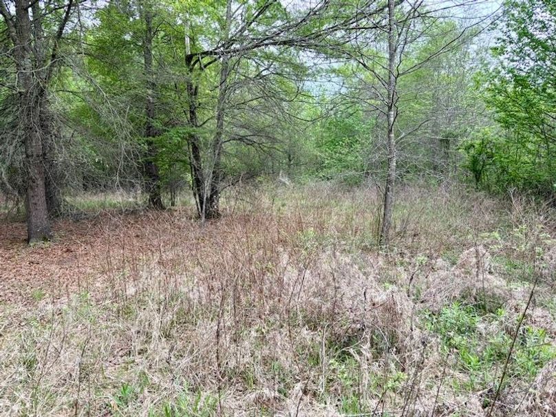 5DB22BBD-219F-4CCB-B13D-F3D348C7623D_1_105_c