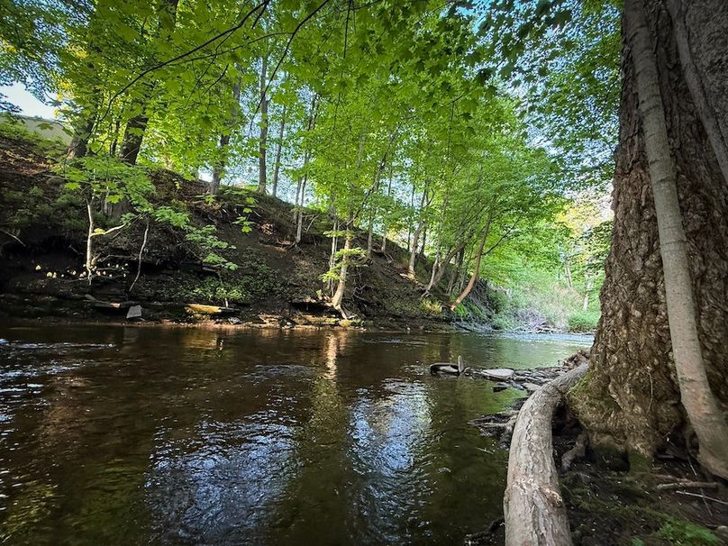 Oswego_3.8_Paro_Photos_40