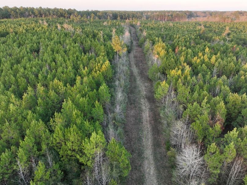 E3BBE2B1-0894-417D-A877-9683B3232753_1_105_c