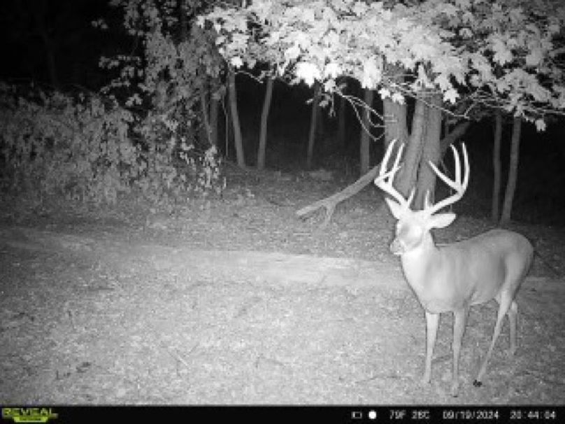 864049057275945-0-4-09192024204404-V-W1038910