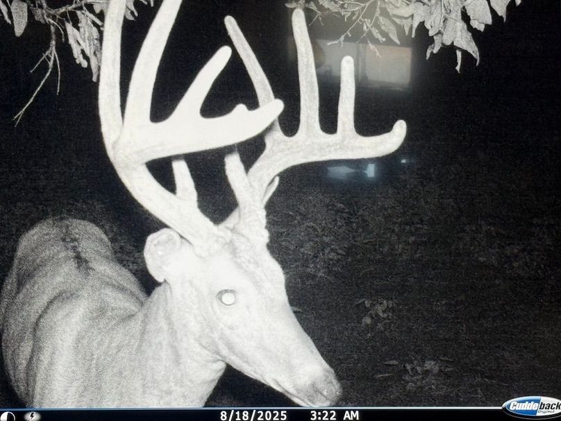 TRAIL CAM 9