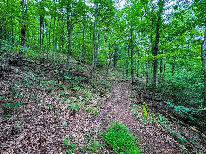 Tyler, WV 46 Lemasters -15