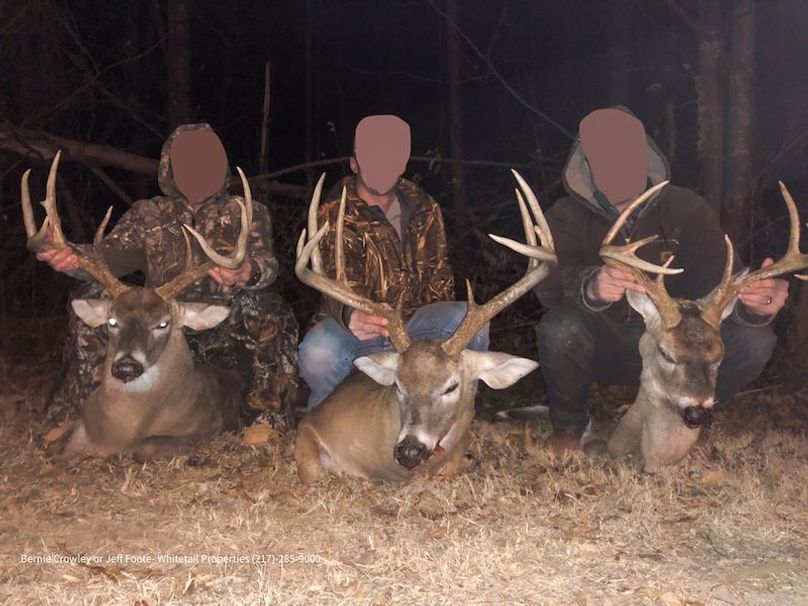 Tallahatchie 847 Messina-10