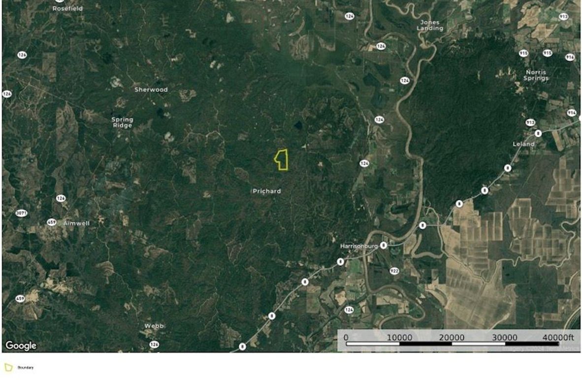 Catahoula_145_Location copy 2