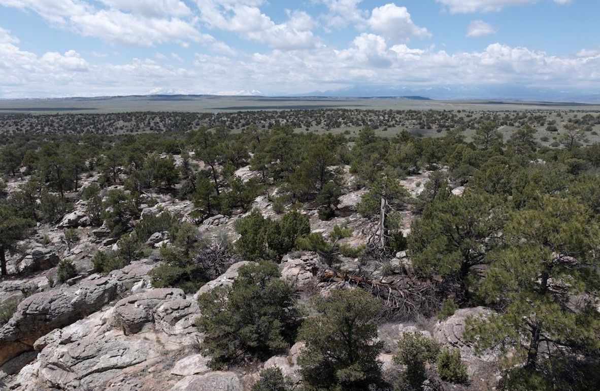 DJI_20250508124007_0055_D