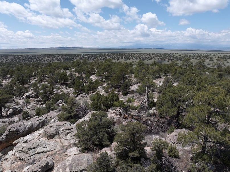 DJI_20250508124007_0055_D