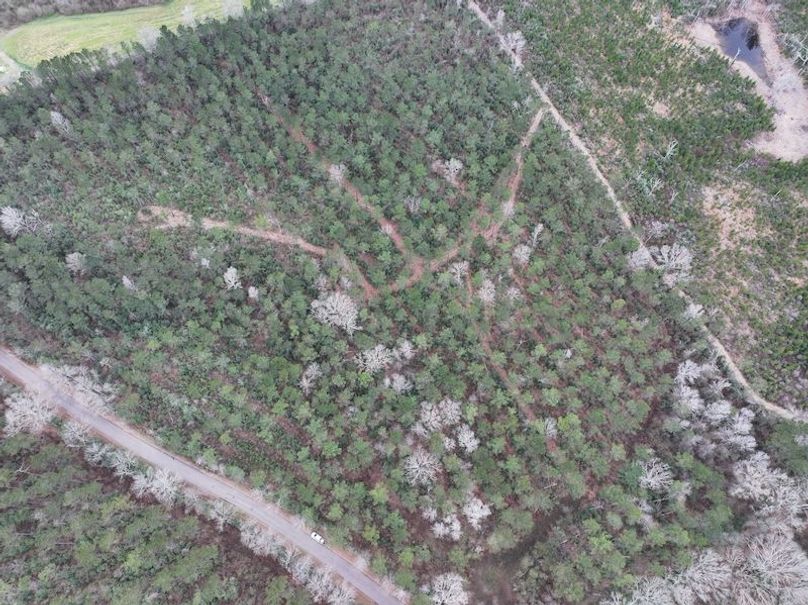 dji_fly_20260217_132516_0109_1771436919242_photo