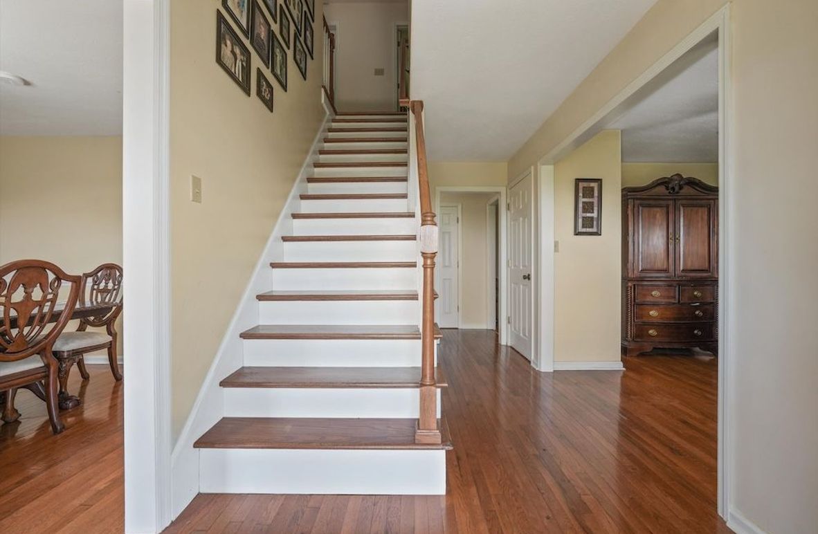 04-2869 Persian Ln01