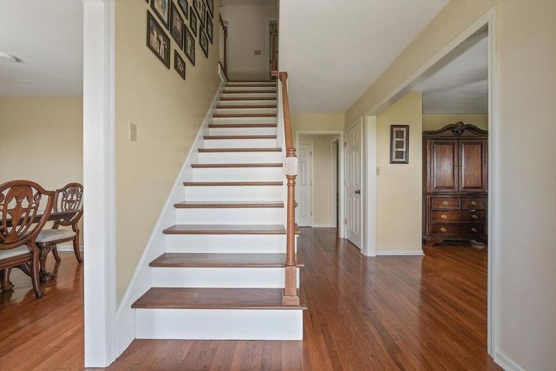 04-2869 Persian Ln01