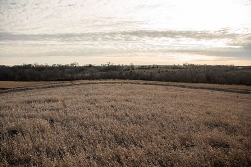 MONTGOMERY CO IA 156.78_25
