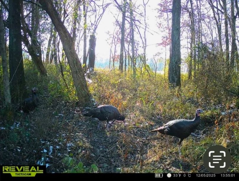 Trail Cam 8
