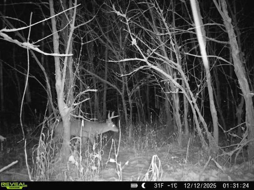 860516068100795-10-2-12122025013124-V-W1000107