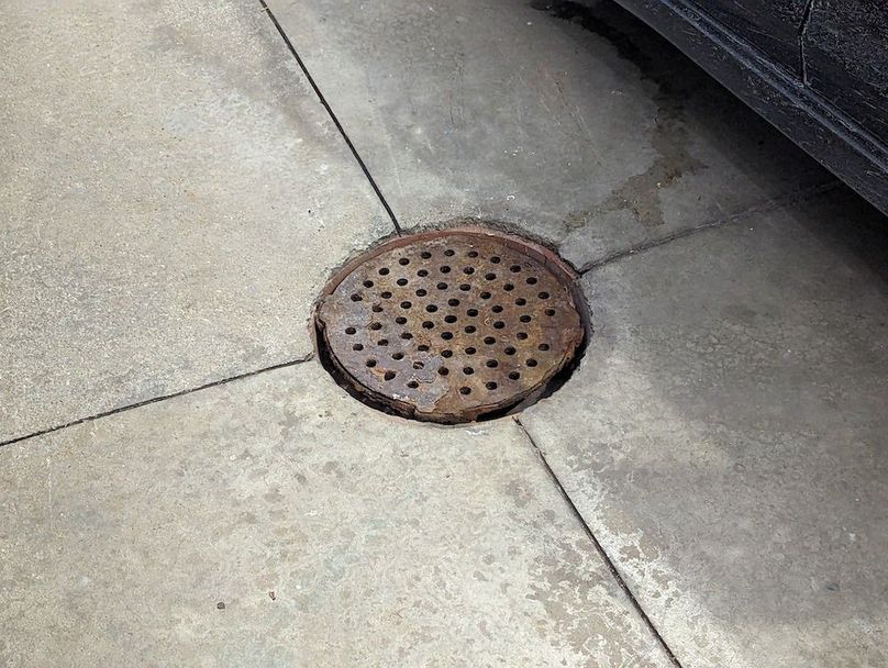 PXL_20240229_203212786