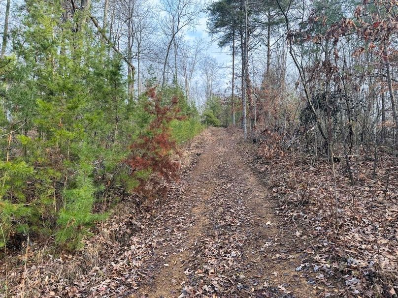 013 trail leading up to the flat-2