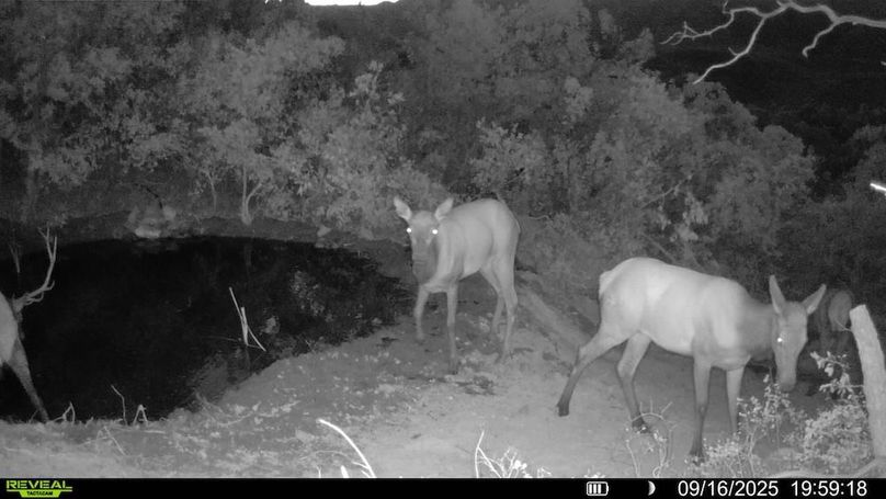 016578004083249-69-2-09162025195918-V-SYFW00239